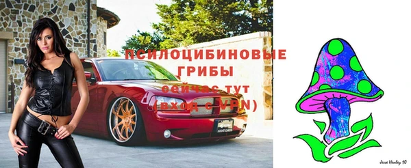 Альфа ПВП Фурманов