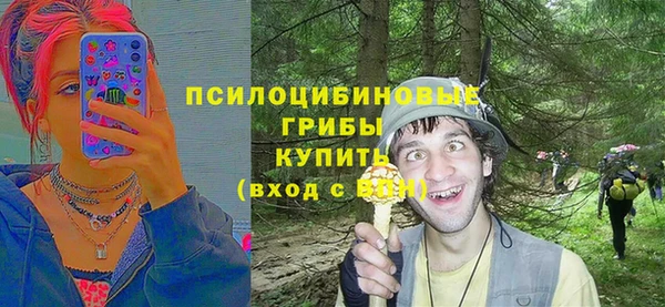 Альфа ПВП Фурманов