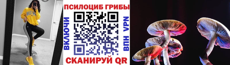 Галлюциногенные грибы Psilocybine cubensis  Чегем 